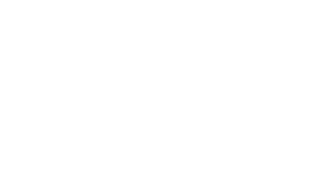 Dallas dirt removal logo white